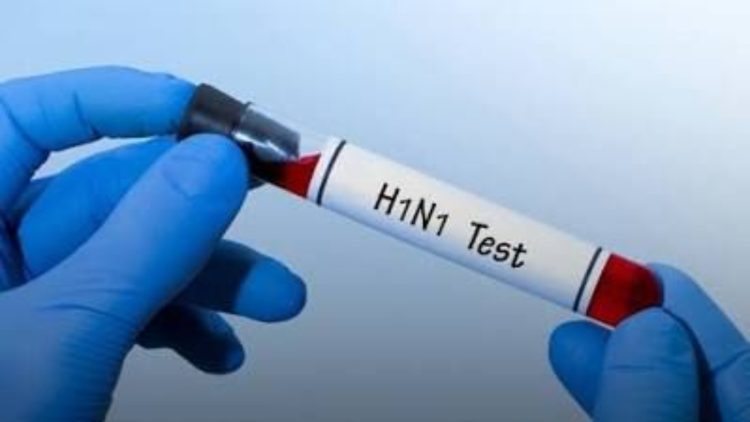 Jharkhand on alert amidst rising H1N1-H3N2 cases; isolation wards ready in hospitals.