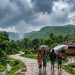 Jharkhand Weather Update 22 September 2026 heavy rain alert