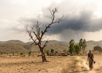 Jharkhand Weather Update 20 June 2026