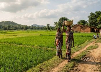 1 अक्टूबर 2026 का झारखंड मौसम अपडेट और बारिश का पूर्वानुमान
