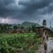 Jharkhand Weather Update: Yellow Alert Issued for Storms, Rain, and Lightning on March 30—Check the Forecast for Your City