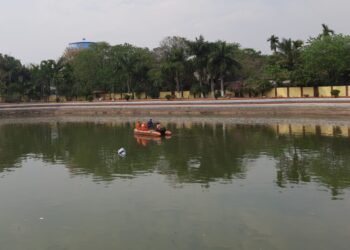 A young man drowned in the Nakshatra Forest pond in Ranchi, and the NDRF is searching for him.