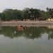 A young man drowned in the Nakshatra Forest pond in Ranchi, and the NDRF is searching for him.