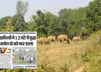 jharkhand news