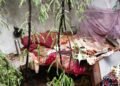 Heavy storm wreaks havoc in Ranchi: Falling trees destroy houses, forcing families to live under the open sky