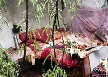 Heavy storm wreaks havoc in Ranchi: Falling trees destroy houses, forcing families to live under the open sky
