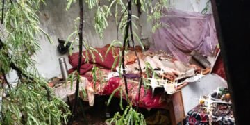 Heavy storm wreaks havoc in Ranchi: Falling trees destroy houses, forcing families to live under the open sky