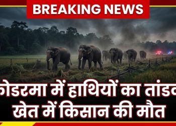 झारखंड के कोडरमा जिले के ग्रामीण खेत और जंगल के पास जंगली हाथियों का झुंड दिखाता ब्रेकिंग न्यूज़ थंबनेल, जिस पर लिखा है "कोडरमा में हाथियों का तांडव: खेत में किसान की मौत"।