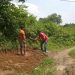 Dhanbad में हाईवे से 500 मीटर दूर गाँव फिर भी सड़क नहीं, डीसी कार्यालय पहुंचे ग्रामीण 6 Villagers from a village in Dhanbad located just 500 meters from the highway—yet lacking a proper road—have reached the DC's office.