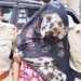 Arpita Sarkar arrested from Sahibganj, Jharkhand; investigation intensifies into the 'honey-trap' network linked to suspected terrorist Hamim Mandal.