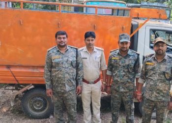 गावां में अवैध माइका कारोबार पर वन विभाग का शिकंजा, 3-4 टन माइका लदा वाहन जब्त