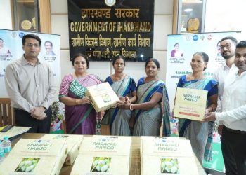 झारखंड की ‘दीदियों’ का आम पहुंचा दुबई, आम्रपाली आम ने अंतरराष्ट्रीय बाजार में बनाई नई पहचान