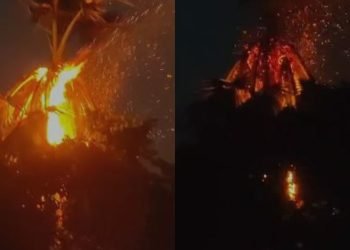 धनबाद में बिजली गिरने से अफरा-तफरी-ताड़ के पेड़ में लगी आग, महिला को लगा झटका